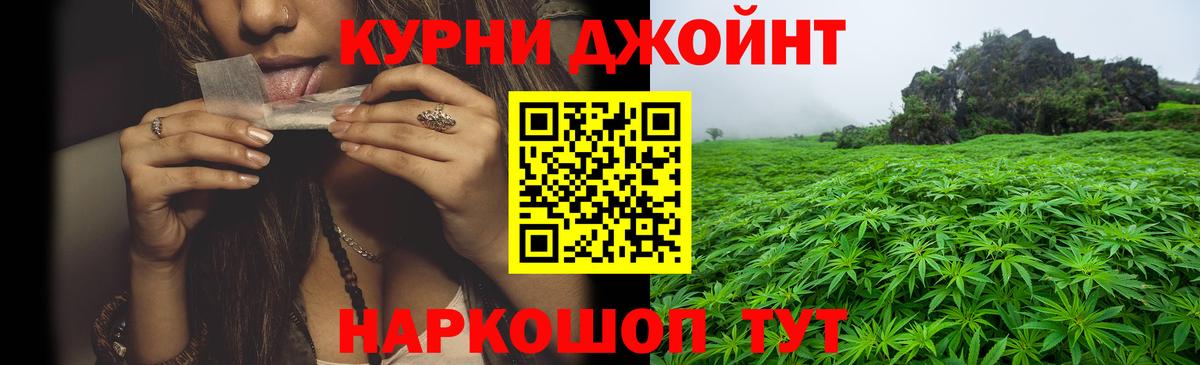 Канабис планчик Алатырь